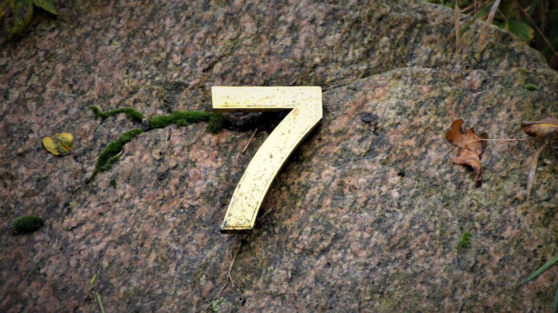 number-seven-on-rock