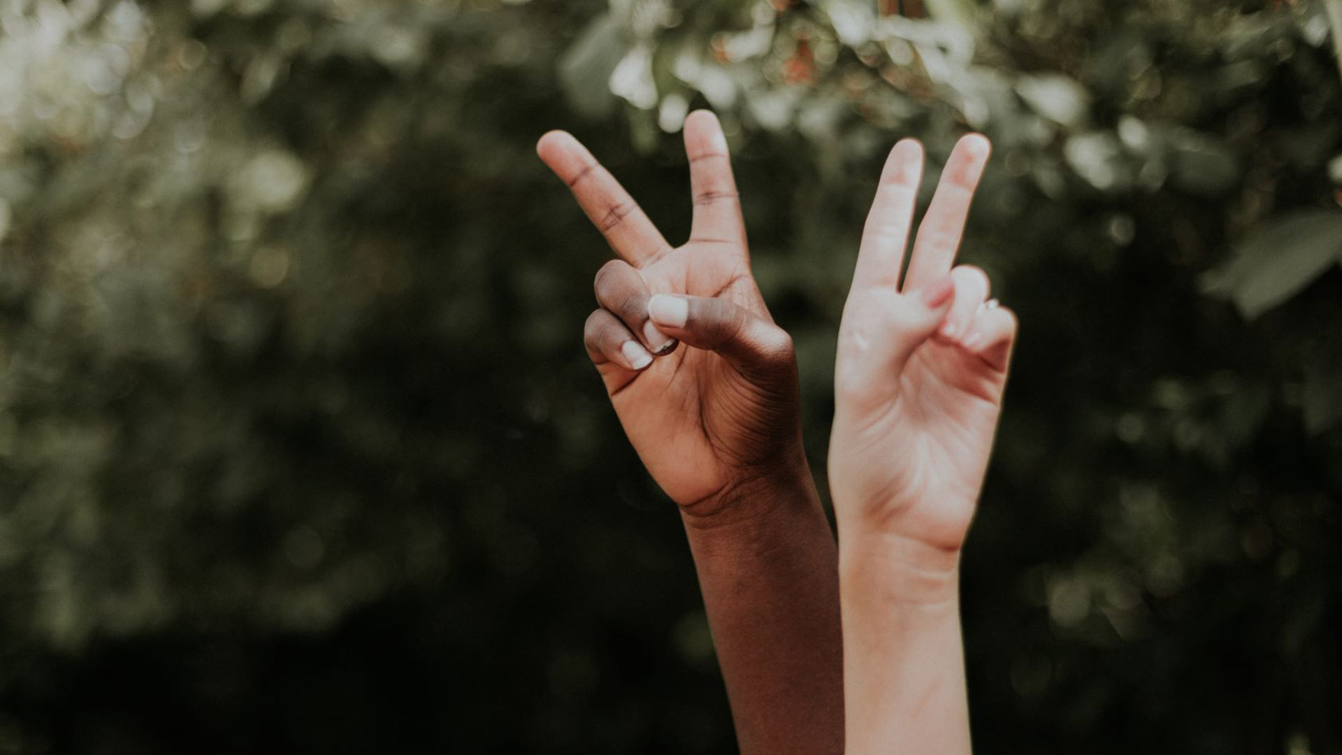 two hands showing peace signs